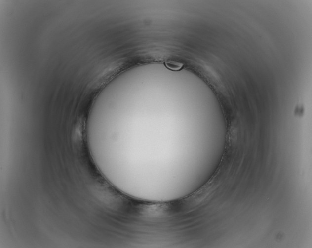 X0000090930122200708201837