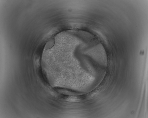 X0000090930123200708201837