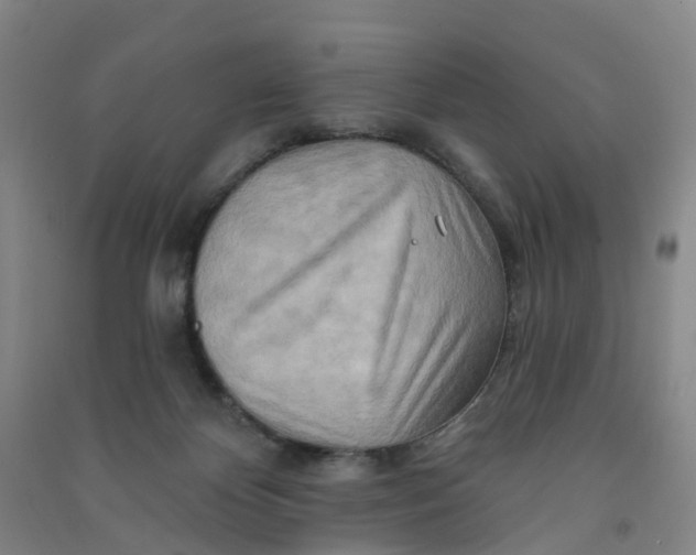 X0000090930124200708201837