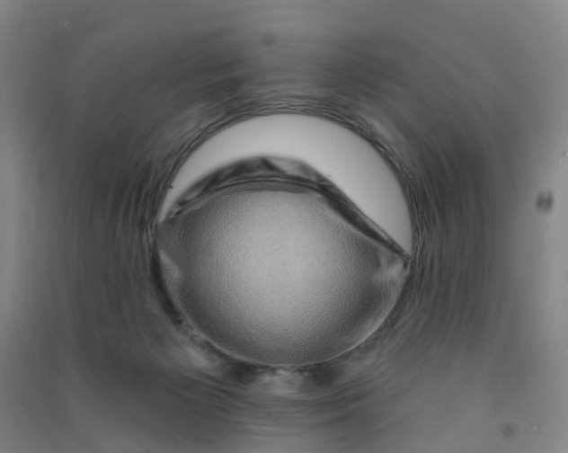 X0000090930125200708201837