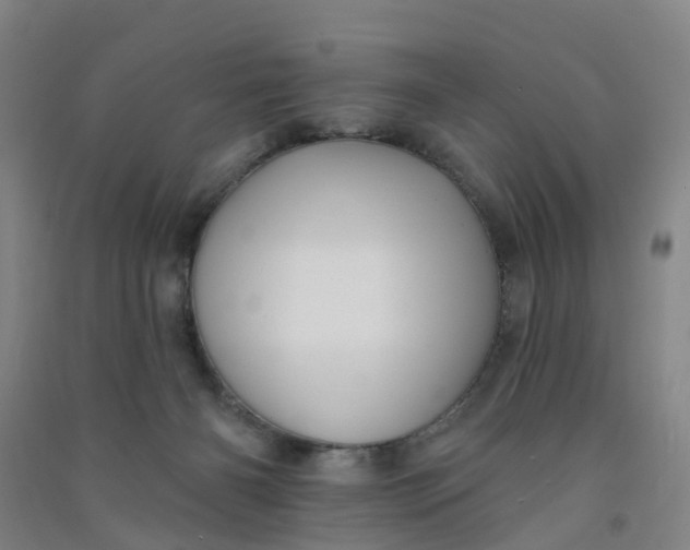 X0000090930126200708201837