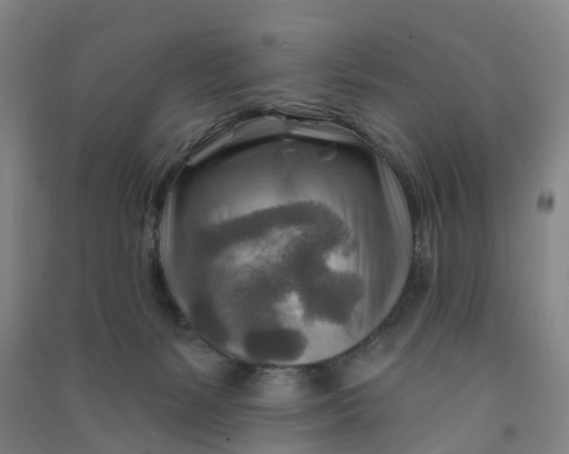 X0000090930127200708201837