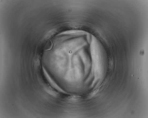 X0000090930128200708201837