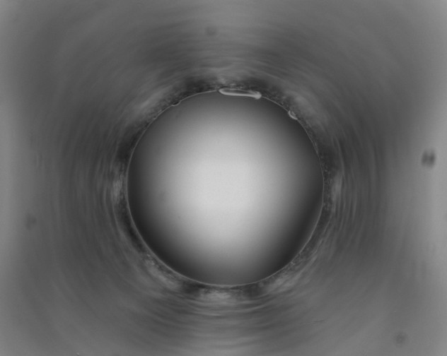 X0000090930129200708201837