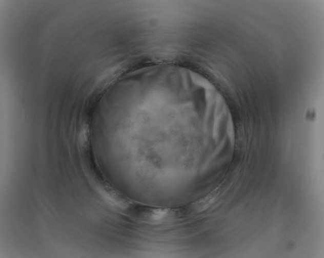 X0000090930130200708201837