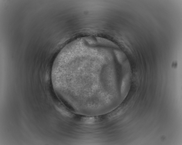 X0000090930131200708201837