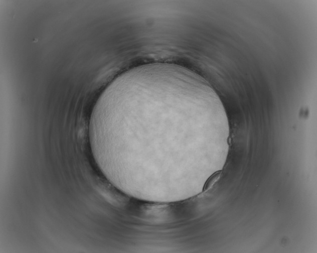 X0000090930132200708201837