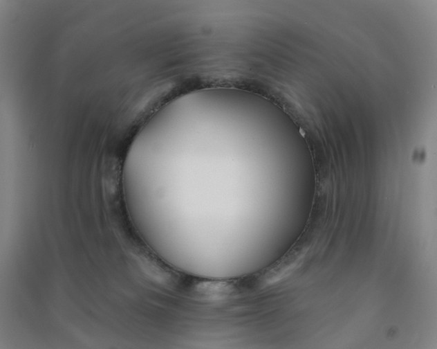 X0000090930133200708201837