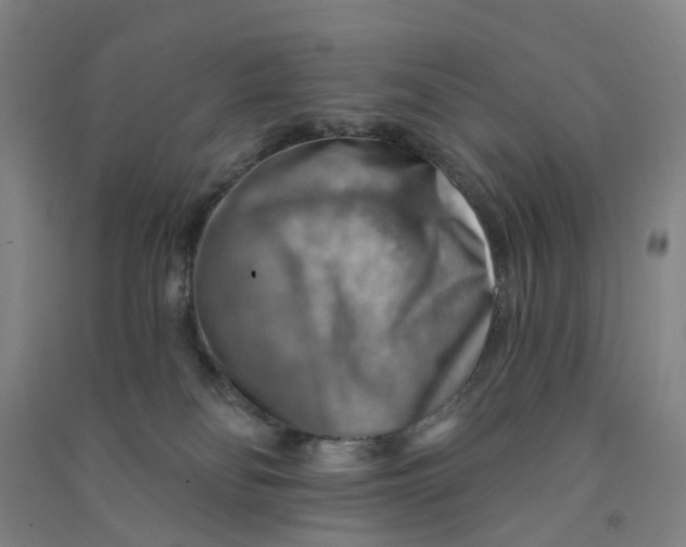 X0000090930134200708201837