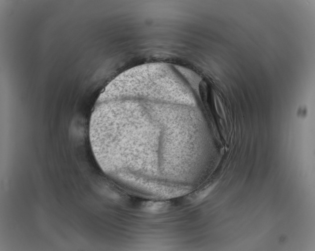 X0000090930135200708201837