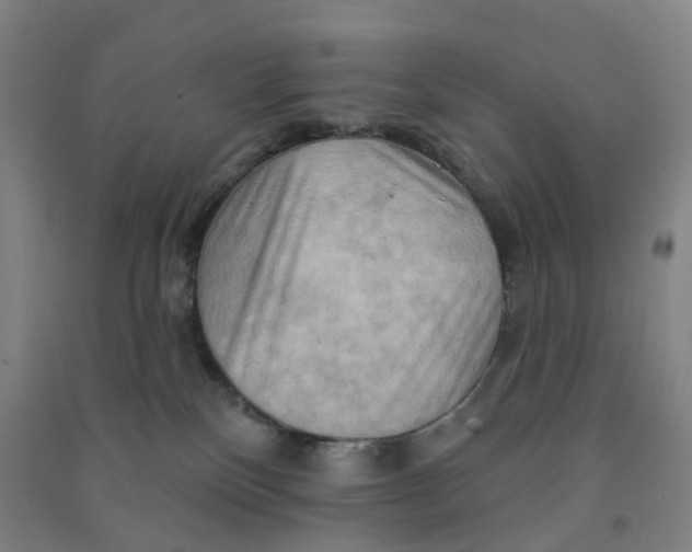 X0000090930136200708201837