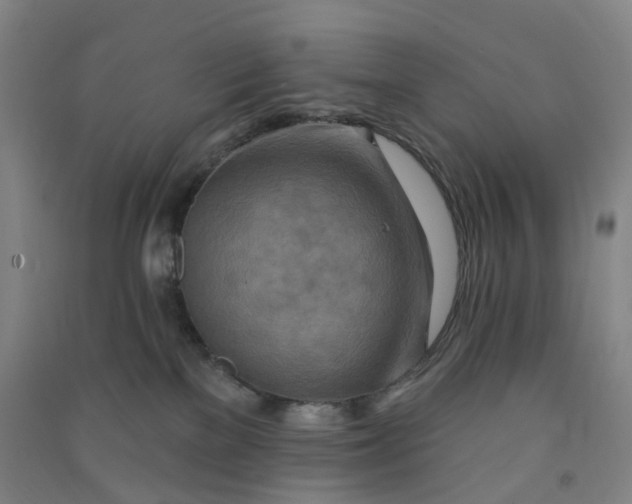 X0000090930137200708201837