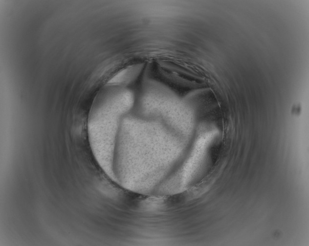 X0000090930138200708201837