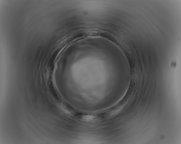 X0000090930139200708201837