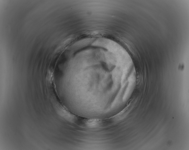 X0000090930142200708201837