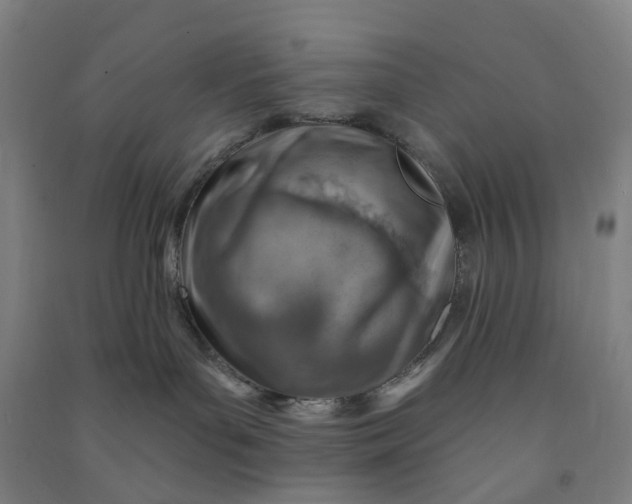 X0000090930143200708201837