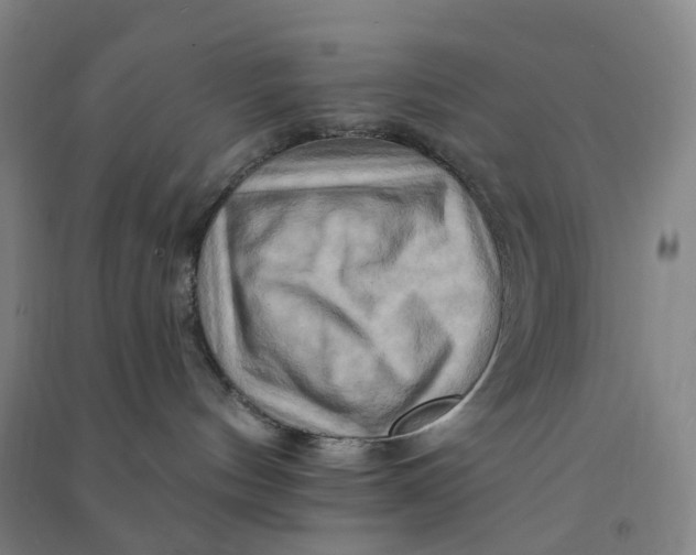 X0000090930144200708201837