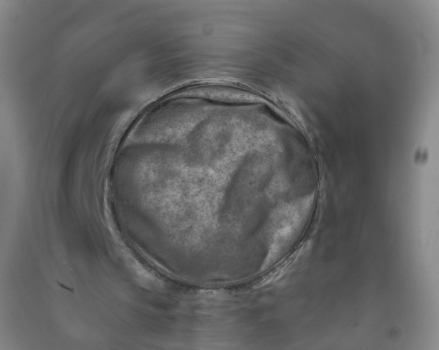 X0000090930145200708201836