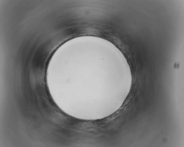 X0000090930146200708201836