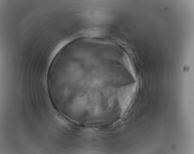 X0000090930147200708201836