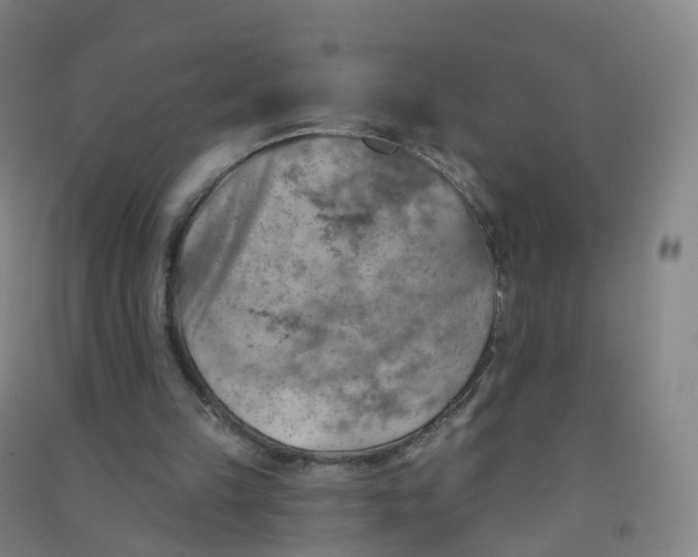 X0000090930149200708201836