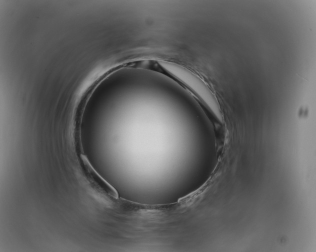 X0000090930150200708201836