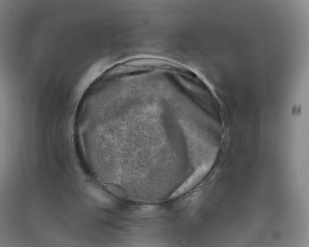 X0000090930151200708201836