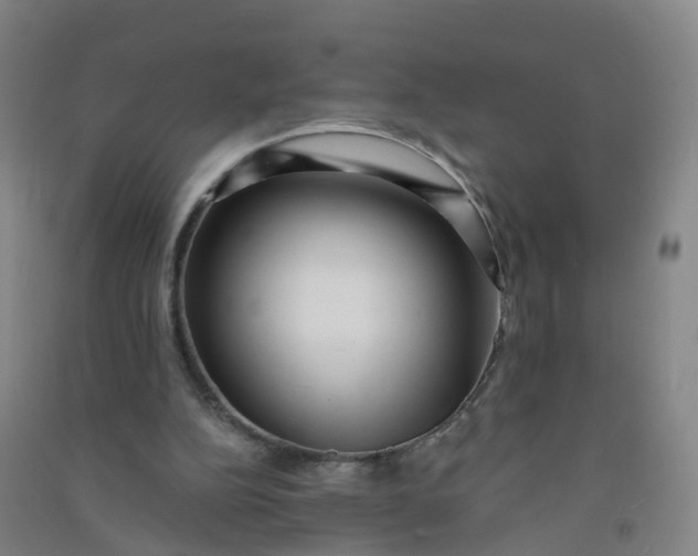 X0000090930152200708201836