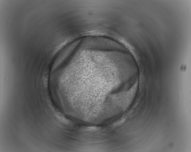 X0000090930153200708201836