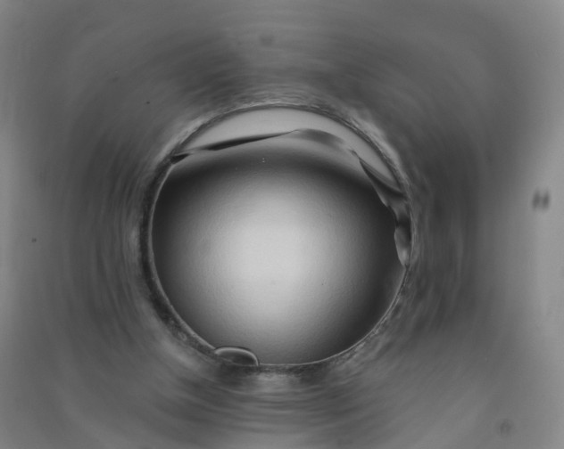 X0000090930154200708201836