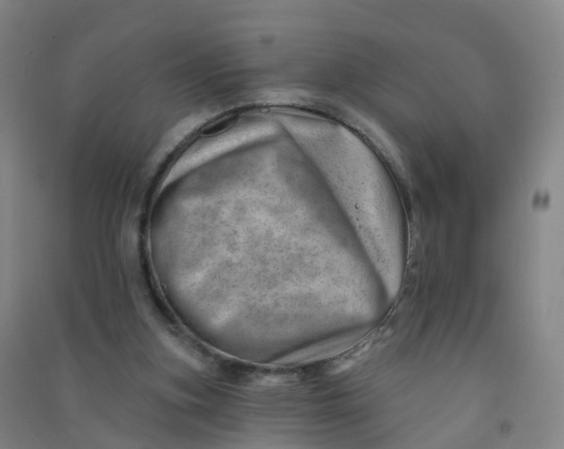 X0000090930155200708201836