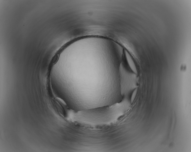 X0000090930156200708201836