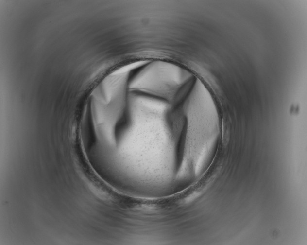 X0000090930157200708201836