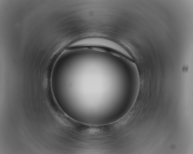 X0000090930158200708201836