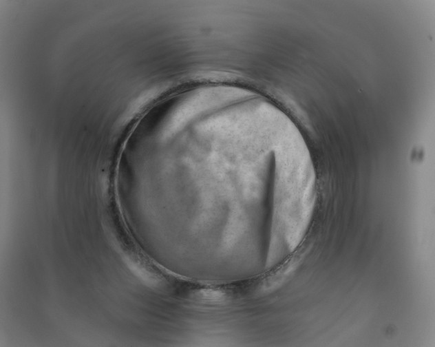 X0000090930159200708201836