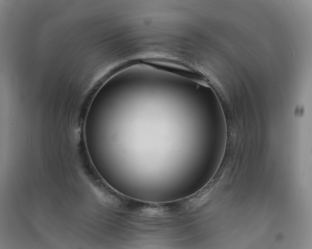 X0000090930160200708201836