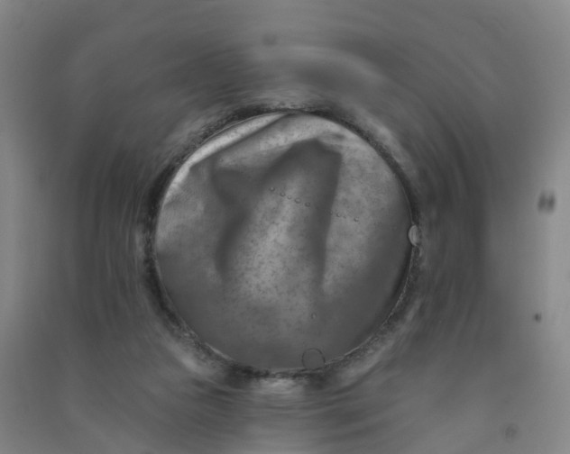 X0000090930161200708201836