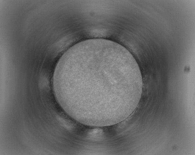 X0000090930162200708201836