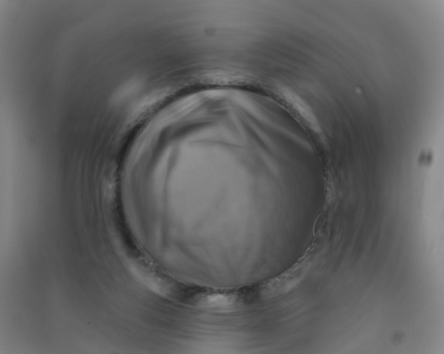 X0000090930163200708201836