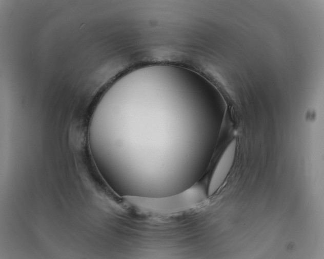 X0000090930164200708201836