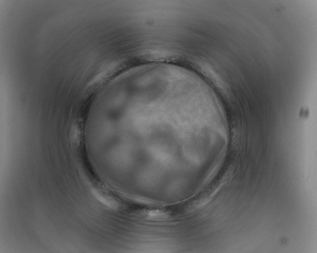 X0000090930165200708201836