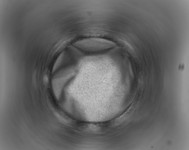 X0000090930166200708201836