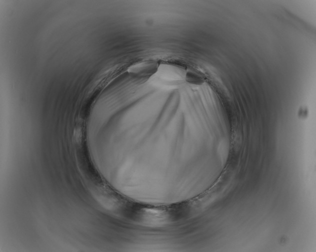 X0000090930167200708201837