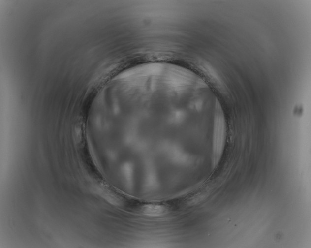 X0000090930169200708201837