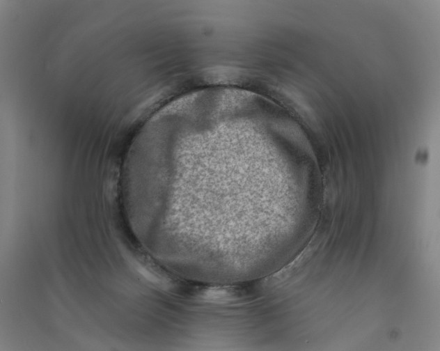 X0000090930171200708201837