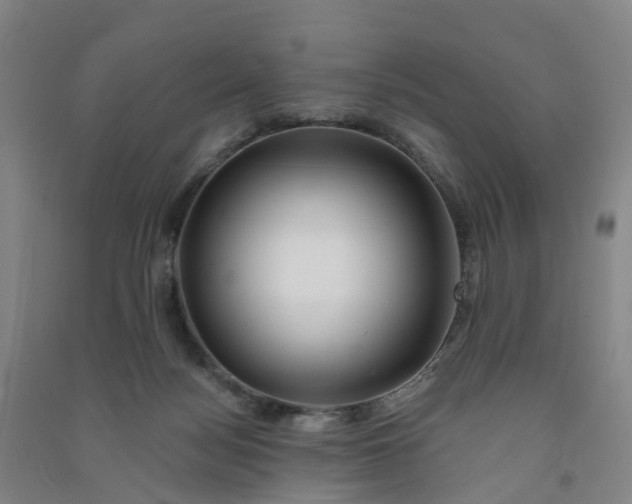 X0000090930172200708201837