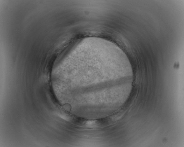 X0000090930173200708201837