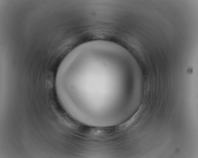 X0000090930174200708201837