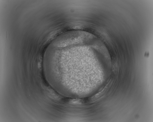 X0000090930175200708201837