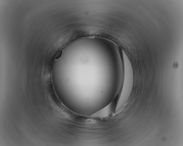 X0000090930176200708201837